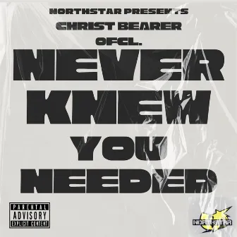 Never Knew You Needed by Christ Bearer