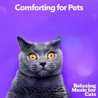 Comforting for Pets by Relaxing Music for Cats