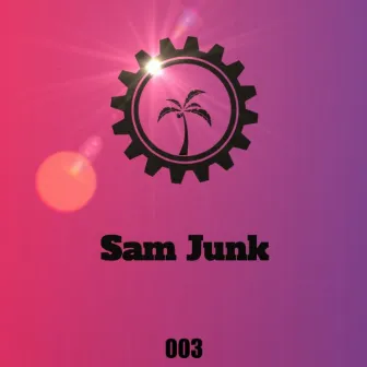 Acid Junk Ep by Sam Junk