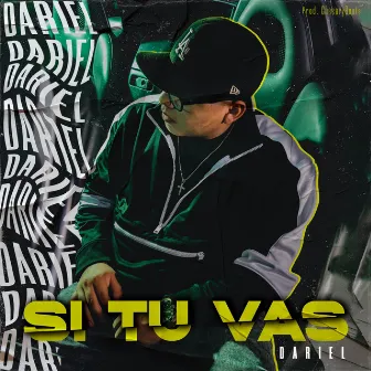 Si Tu Vas by Dariel el instrumento