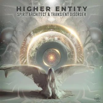 Higher Entity by Transient Disorder