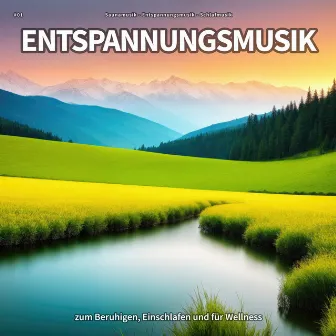 #01 Entspannungsmusik zum Beruhigen, Einschlafen und für Wellness by Saunamusik