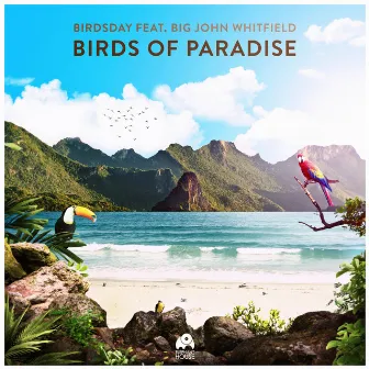 Birds of Paradise (feat. Big John Whitfield) by Birdsday