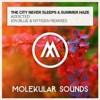 Addicted (The Remixes) by The City Never Sleeps