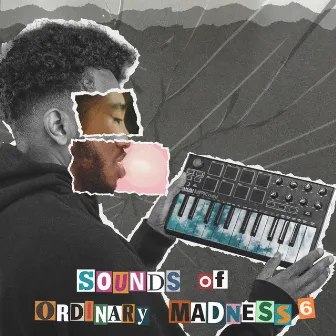 Sounds of Ordinary Madness 6 by I.N.Kognito