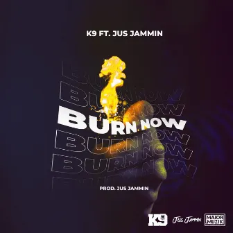 Burn Now by K9