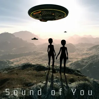 Sound of You by Quantum