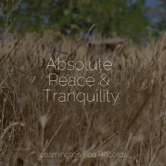 Absolute Peace & Tranquility by Ambiente