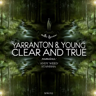 Clear and True by Young