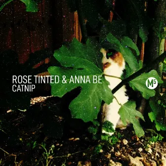 Cat Nip by Rose Tinted & Anna Be