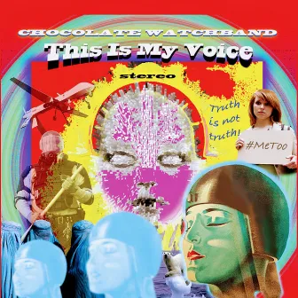 This Is My Voice by The Chocolate Watchband