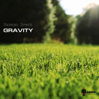 Gravity by Sergei Spatz