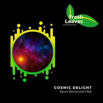 Cosmic Delight by Spiritual Sound Clubb