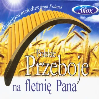 Polskie Przeboje na fletnie Pana (Panpipes melodies from Poland) by Marcin Lewandowski