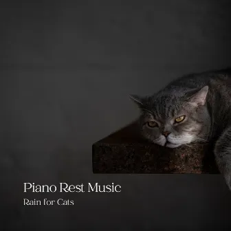 Piano Rest Music: Rain for Cats by About A Sudden Rainstorm