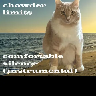 comfortable silence instrumental by Chowder Limits