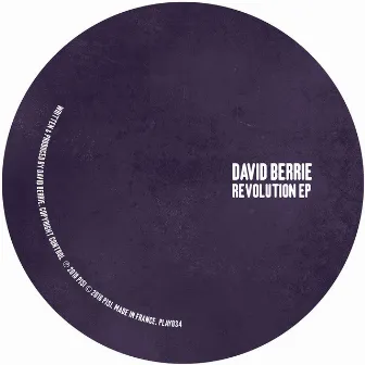 Revolution EP by David Berrie