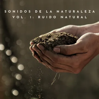 Sonidos De La Naturaleza Vol. 1: Ruido Natural by Fábrica de Calma