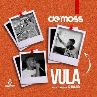 Vula by Shona Boy