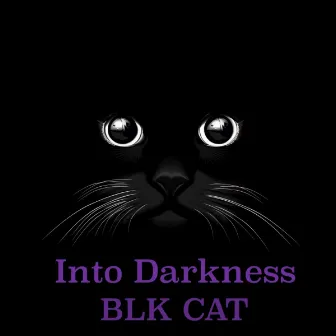 Into Darkness by Blk Cat