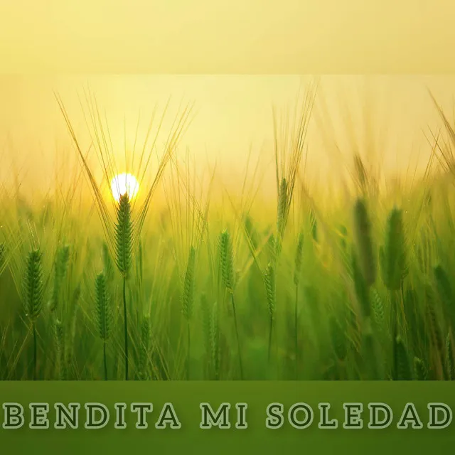 Bendita mi soledad