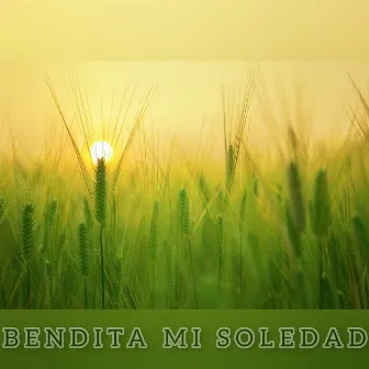 Bendita mi soledad by Mau Espeche