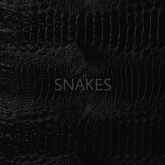 SNAKES by G R X Y