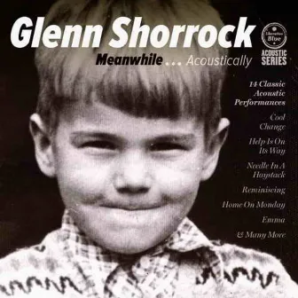 Meanwhile by Glenn Shorrock