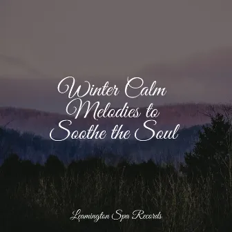 Winter Calm Melodies to Soothe the Soul by Meditation Relaxation Club