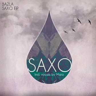 Saxo by BA2LA