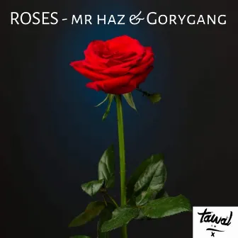 Roses by Mr Haz