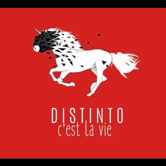 C'est la vie by Distinto