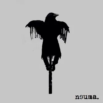 Neuma by Neuma