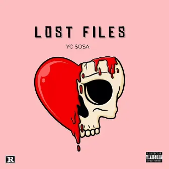 LOST FILES by Unknown Artist