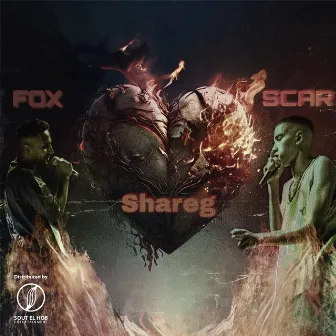 Shareg by Fox