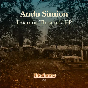 Doamna Thoamna EP by Andu Simion