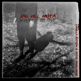 Jag vill möta... by Karin Boye