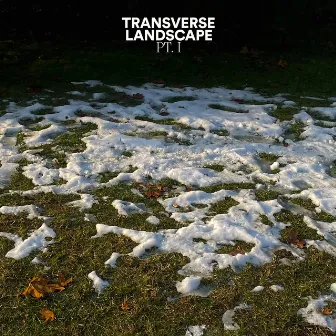 Transverse Landscape, Pt. 1 by Kino Todo