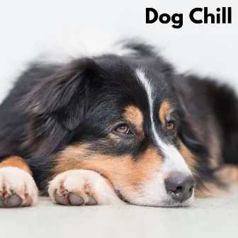 Dog Chill (Loopable, No Fade) by Sleepy Dog