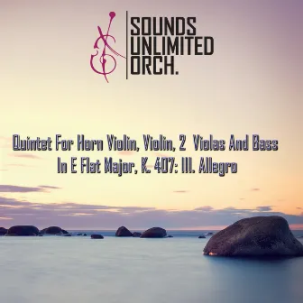 Quintet For Horn Violin, Violin, 2 Violas And Bass In E Flat Major, K. 407: III. Allegro by Sounds Unlimited Orch.