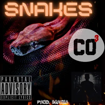 SNAKES by CO3