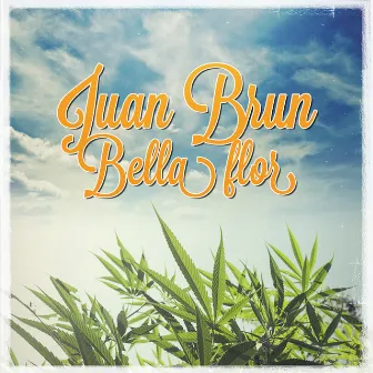 Bella flor by Juan Brun