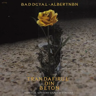 Trandafirul Din Beton by Badd G