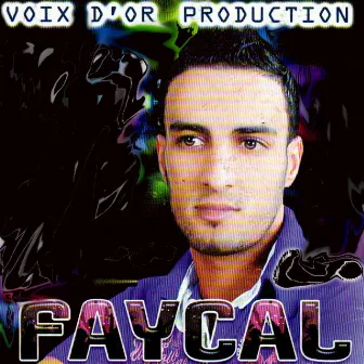 Hommage à Hasni by Faycal