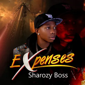 Expenses by Sharozy Boss