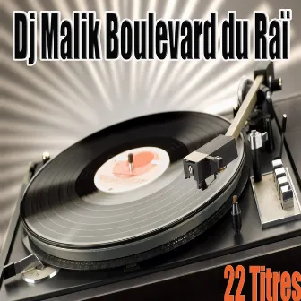 Boulevard du Raï, 22 titres by Dj Malik