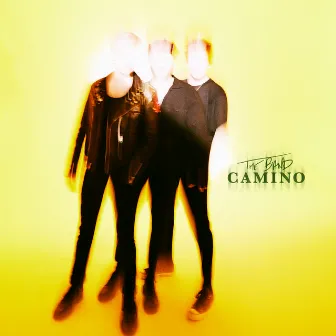 I Think I Like You (Radio Edit) by The Band CAMINO