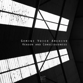 Reason & Conciousness by Gemini Voice Archive