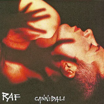 Cannibali by Raf