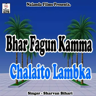 Bhar Fagun Kamma Chalaito Lambka Baiganma by 